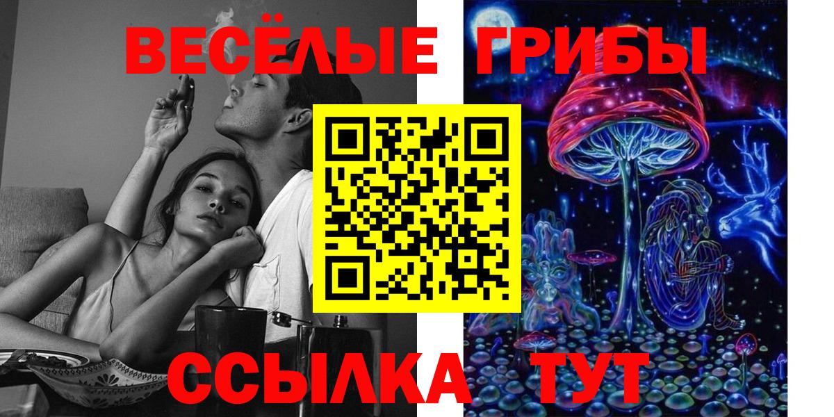 Псилоцибиновые грибы GOLDEN TEACHER  Псилоцибиновые грибы Magic Shrooms  Саянск  Вход с VPN 
