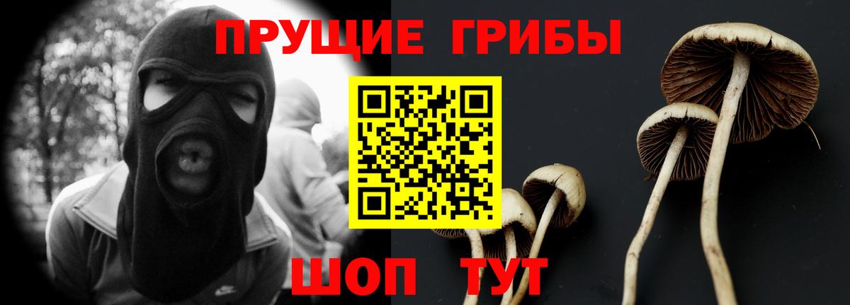 Галлюциногенные грибы GOLDEN TEACHER Саянск